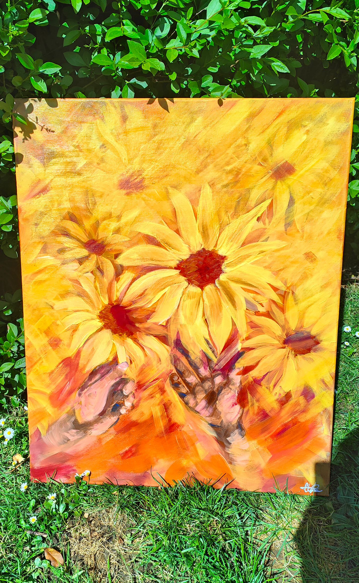 Blooming Sun