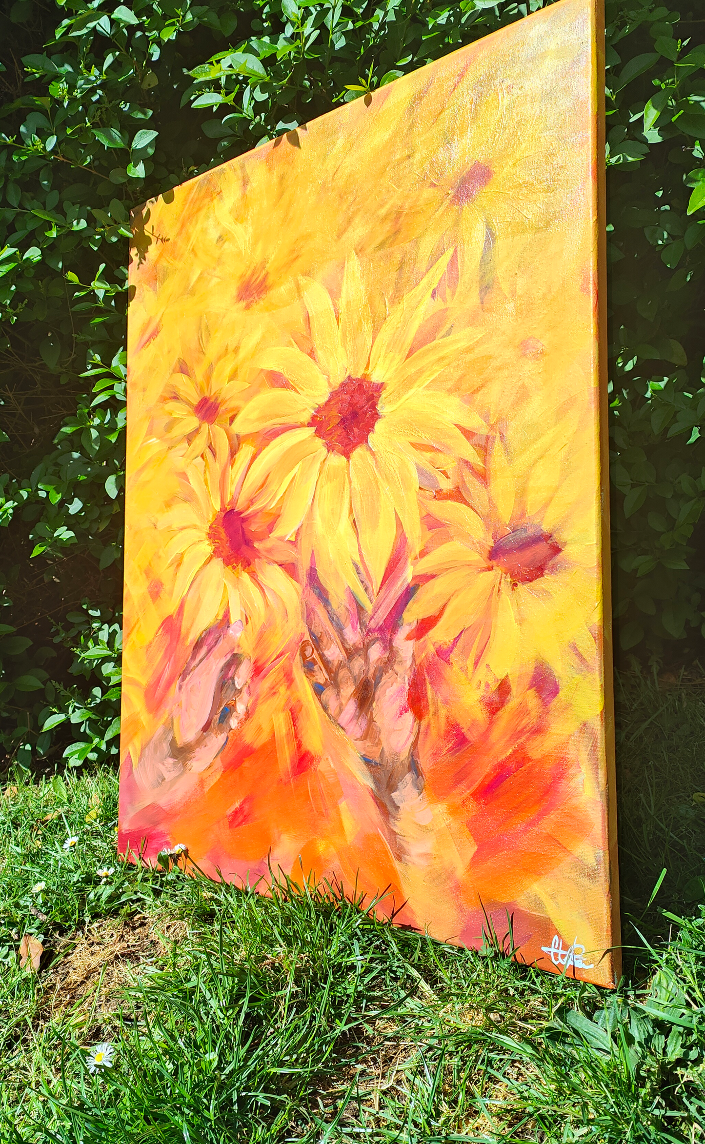 Blooming Sun