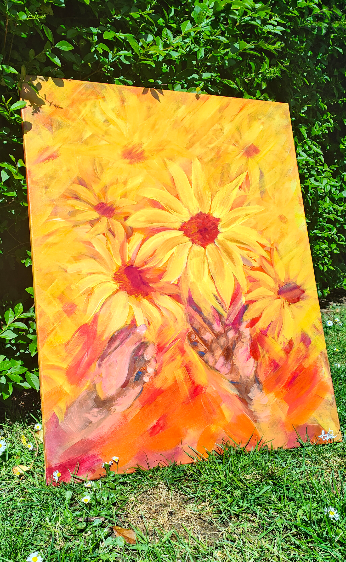 Blooming Sun
