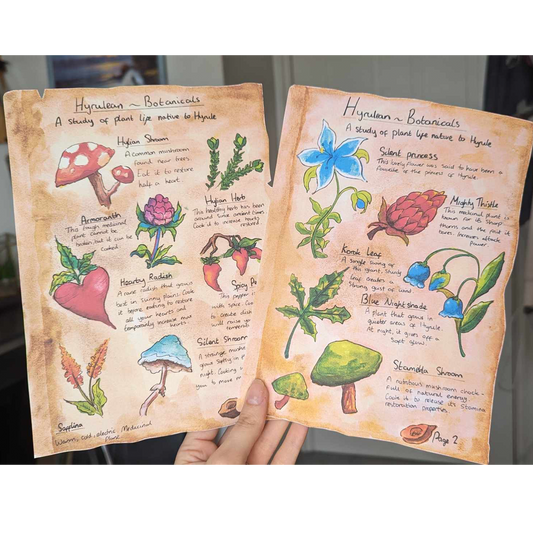 Hand painted Legend of Zelda compendium Pages 1&2